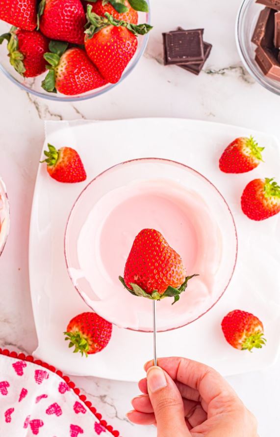 Chocolate Dipped Workshop- Lux Version