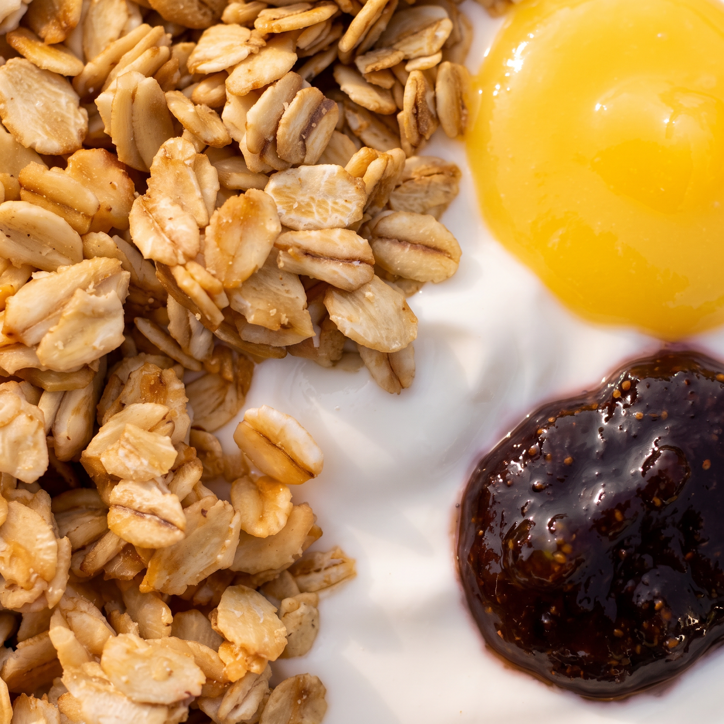 Lemon + Fig Yogurt Bowl (Pack of 10)